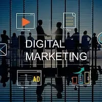 Digital Marketing & Paid Media